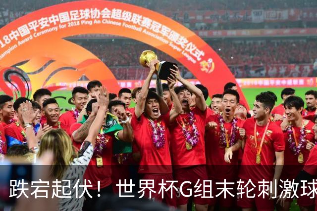 跌宕起伏！世界杯G组末轮刺激球迷心脏 伊朗狂喜过后遭打击